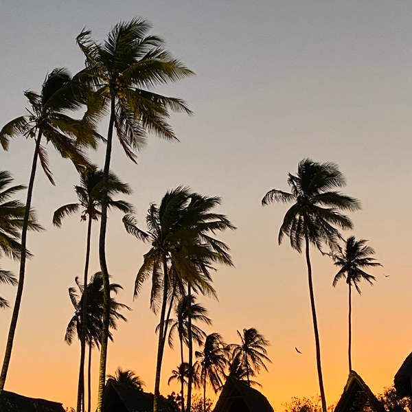 Zanzibar-retreat-solnedgang
